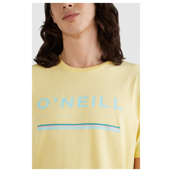 O'neill Ανδρική κοντομάνικη μπλούζα Arrowhead T-Shirt